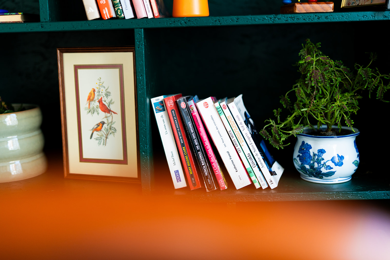Zoom sur la bibliothèque